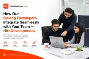 How our golang developers integrate seamlessly with your team — hiredeveloper. Dev